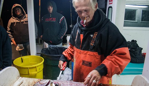 Warm-Water Fish Invade New York City’s Waters