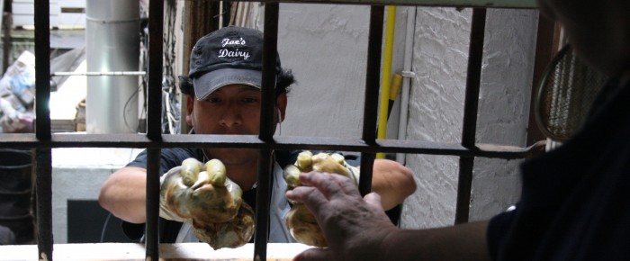 Greenwich Village Cheese Shop Shutters After 36 Years